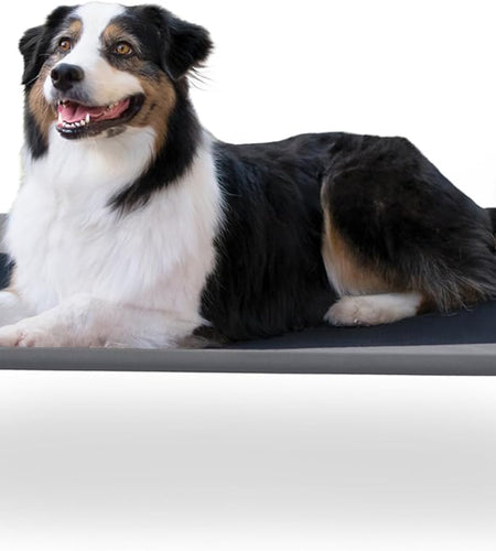 Original Pet Cot Elevated Dog Bed Gray/Black Mesh Large 30 X 42 X 7 Inches