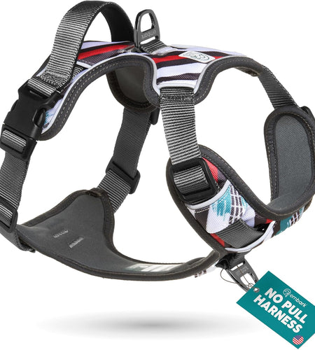 Embark Urban Dog Harness, No Pull Dog Harness with 2 Leash Clips, Dog Harness for Medium Dogs No Pull. Front & Back with Control Handle, Adjustable Black Dog Vest, Soft & Padded for Comfort