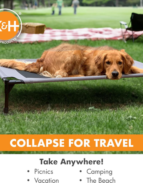 Load image into Gallery viewer, Original Pet Cot Elevated Dog Bed Gray/Black Mesh Large 30 X 42 X 7 Inches
